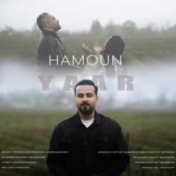 دانلود آهنگ هامون یار